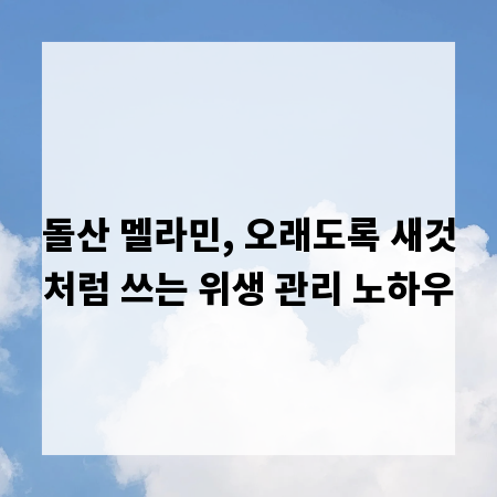 돌산 멜라민, 오래도록 새것처럼 쓰는 위생 관리 노하우