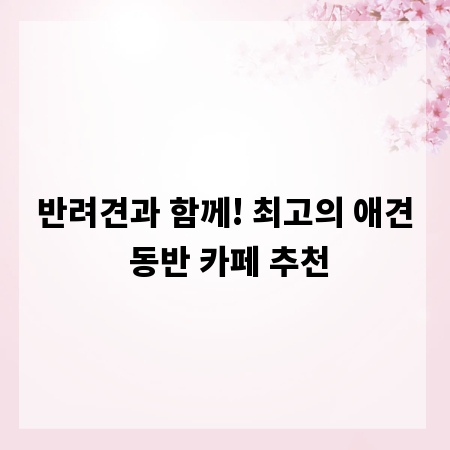 반려견과 함께! 최고의 애견 동반 카페 추천