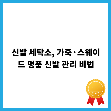 신발 세탁소, 가죽&middot;스웨이드 명품 신발 관리 비법