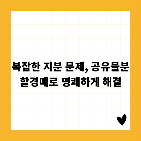 복잡한 지분 문제, 공유물분할경매로 명쾌하게 해결