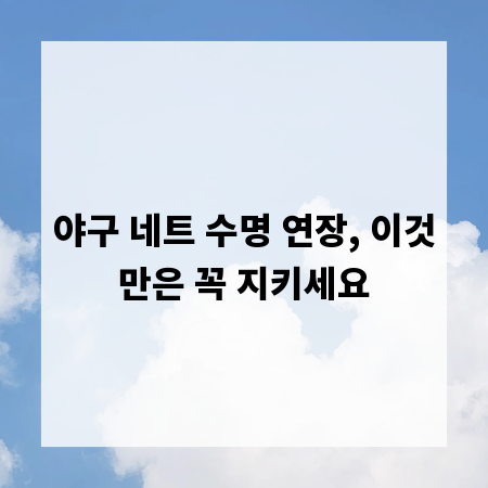 야구 네트 수명 연장, 이것만은 꼭 지키세요