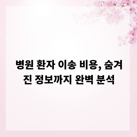 병원 환자 이송 비용, 숨겨진 정보까지 완벽 분석