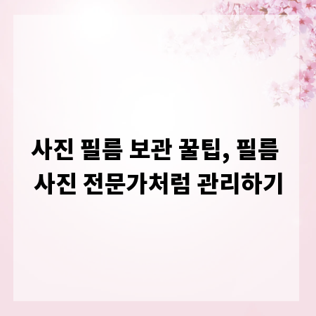 사진 필름 보관 꿀팁, 필름 사진 전문가처럼 관리하기