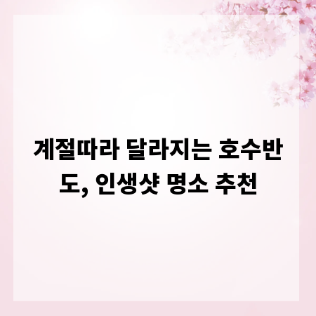 계절따라 달라지는 호수반도, 인생샷 명소 추천
