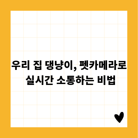 우리 집 댕냥이, 펫카메라로 실시간 소통하는 비법