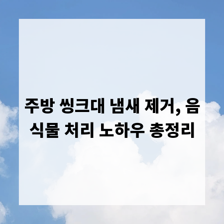 주방 씽크대 냄새 제거, 음식물 처리 노하우 총정리