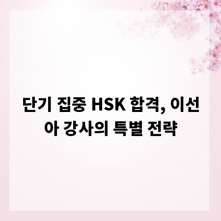 단기 집중 HSK 합격, 이선아 강사의 특별 전략