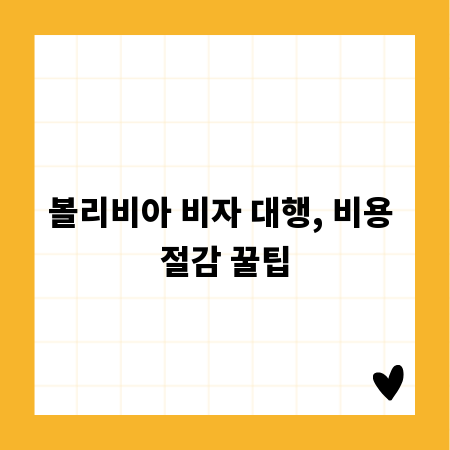 볼리비아 비자 대행, 비용 절감 꿀팁