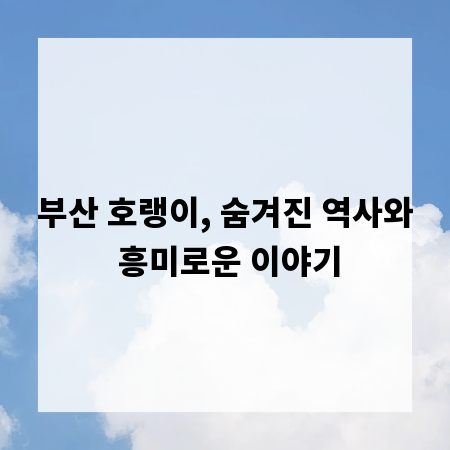 부산 호랭이, 숨겨진 역사와 흥미로운 이야기