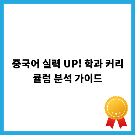 중국어 실력 UP! 학과 커리큘럼 분석 가이드