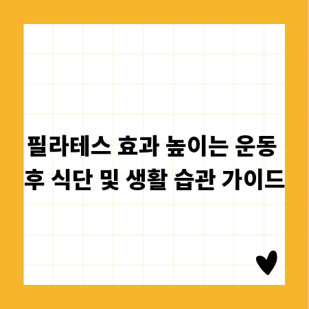 필라테스 효과 높이는 운동 후 식단 및 생활 습관 가이드