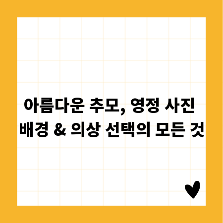 아름다운 추모, 영정 사진 배경 & 의상 선택의 모든 것