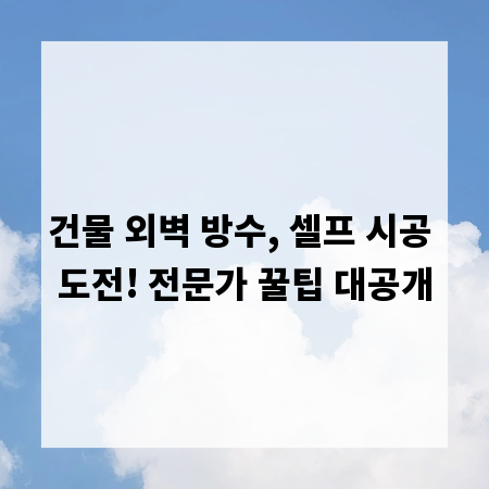 건물 외벽 방수, 셀프 시공 도전! 전문가 꿀팁 대공개