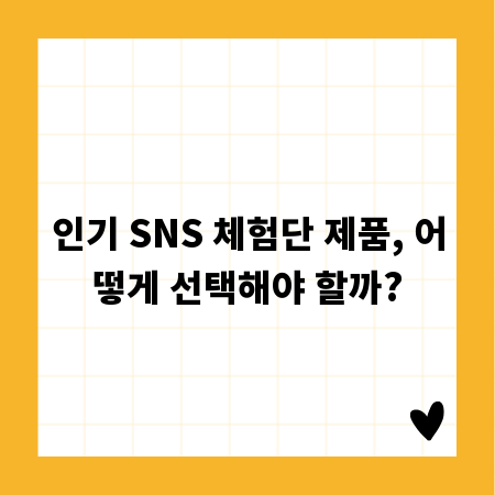 인기 SNS 체험단 제품, 어떻게 선택해야 할까?