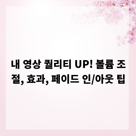 내 영상 퀄리티 UP! 볼륨 조절, 효과, 페이드 인/아웃 팁