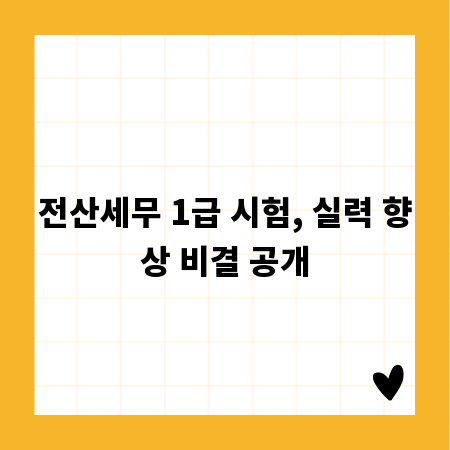 전산세무 1급 시험, 실력 향상 비결 공개