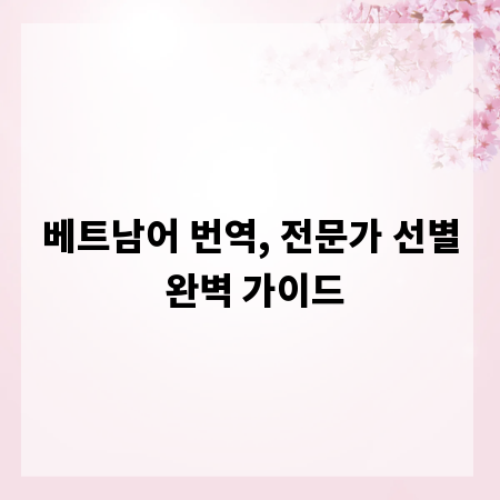 베트남어 번역, 전문가 선별 완벽 가이드