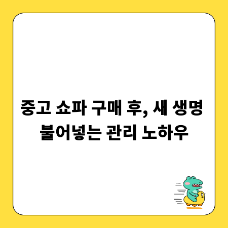중고 쇼파 구매 후, 새 생명 불어넣는 관리 노하우