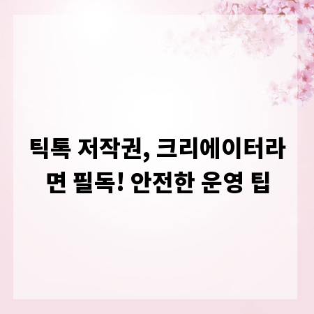 틱톡 저작권, 크리에이터라면 필독! 안전한 운영 팁