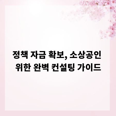 정책 자금 확보, 소상공인 위한 완벽 컨설팅 가이드