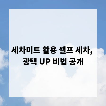 세차미트 활용 셀프 세차, 광택 UP 비법 공개