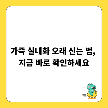 가죽 실내화 오래 신는 법, 지금 바로 확인하세요
