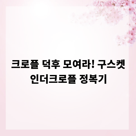 크로플 덕후 모여라! 구스켓인더크로플 정복기