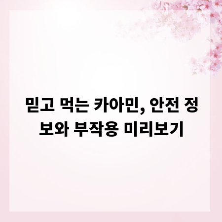 믿고 먹는 카아민, 안전 정보와 부작용 미리보기