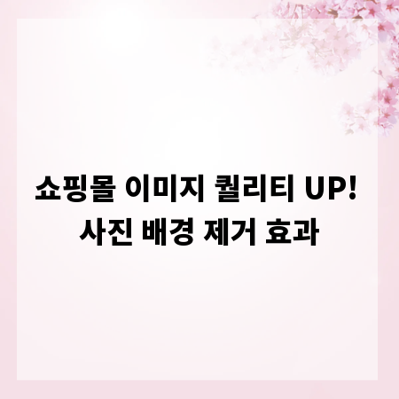 쇼핑몰 이미지 퀄리티 UP! 사진 배경 제거 효과