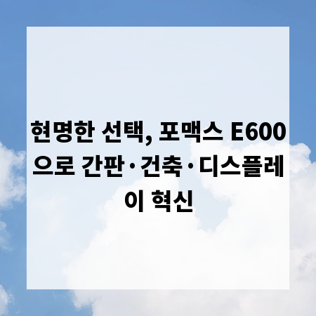 현명한 선택, 포맥스 E600으로 간판·건축·디스플레이 혁신