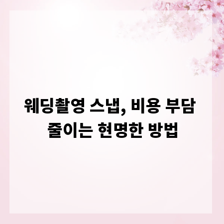 웨딩촬영 스냅, 비용 부담 줄이는 현명한 방법