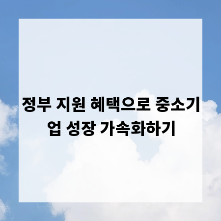 정부 지원 혜택으로 중소기업 성장 가속화하기