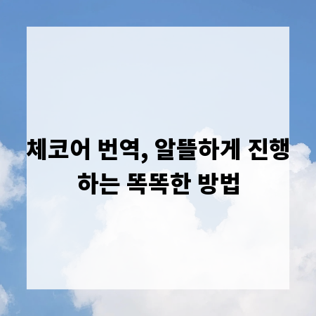 체코어 번역, 알뜰하게 진행하는 똑똑한 방법