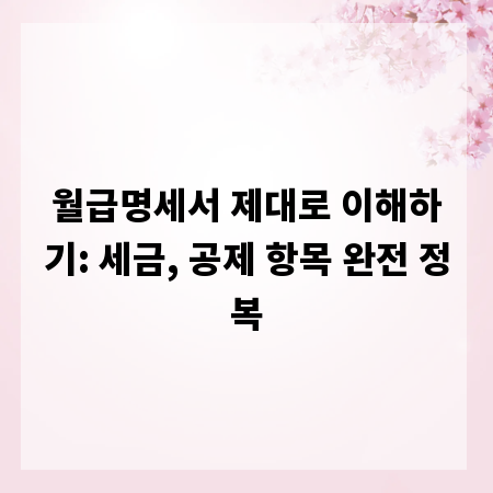월급명세서 제대로 이해하기: 세금, 공제 항목 완전 정복