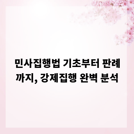 민사집행법 기초부터 판례까지, 강제집행 완벽 분석