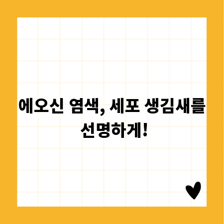에오신 염색, 세포 생김새를 선명하게!