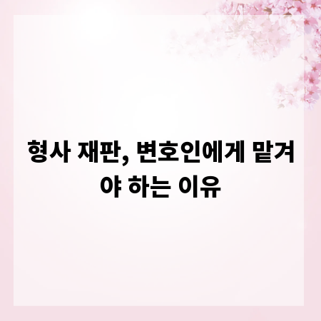 형사 재판, 변호인에게 맡겨야 하는 이유