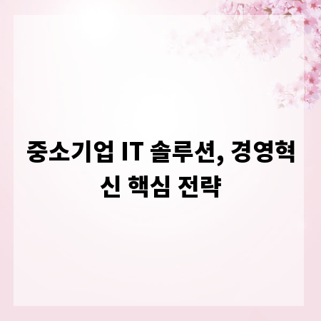 중소기업 IT 솔루션, 경영혁신 핵심 전략