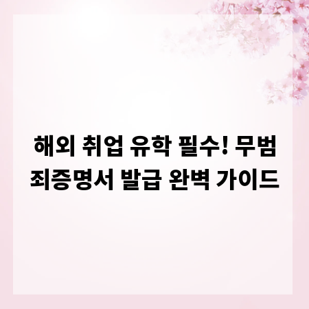 해외 취업 유학 필수! 무범죄증명서 발급 완벽 가이드