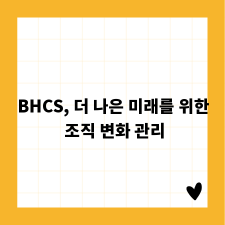 BHCS, 더 나은 미래를 위한 조직 변화 관리