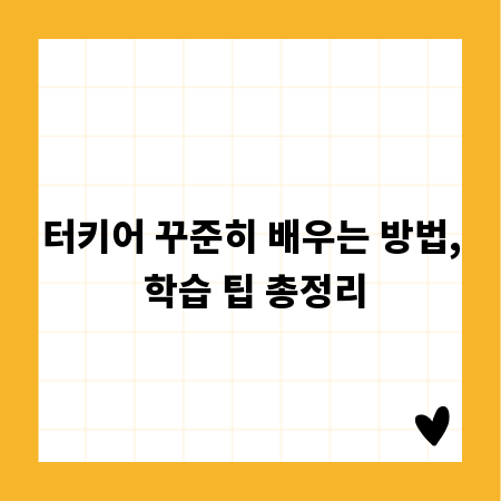 터키어 꾸준히 배우는 방법, 학습 팁 총정리