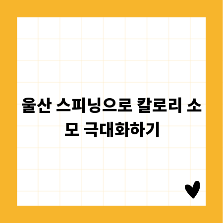 울산 스피닝으로 칼로리 소모 극대화하기