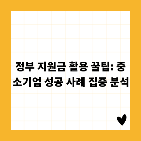 정부 지원금 활용 꿀팁: 중소기업 성공 사례 집중 분석