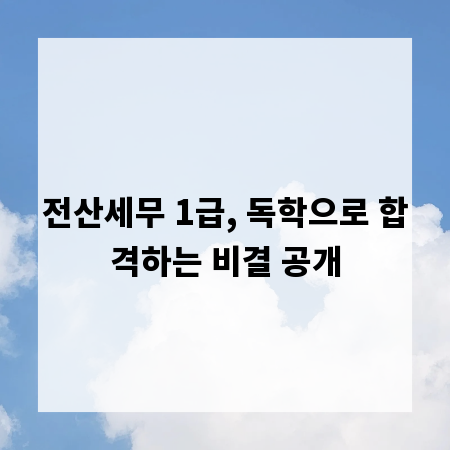 전산세무 1급, 독학으로 합격하는 비결 공개