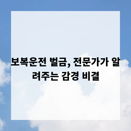 보복운전 벌금, 전문가가 알려주는 감경 비결