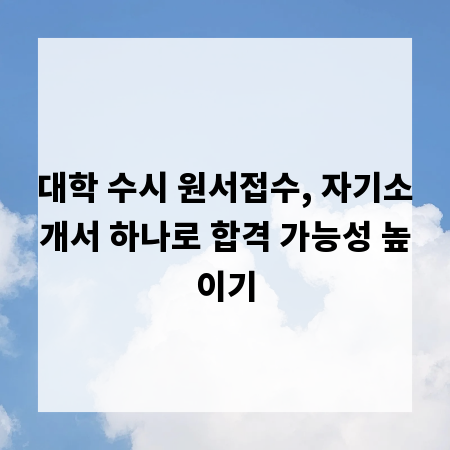대학 수시 원서접수, 자기소개서 하나로 합격 가능성 높이기