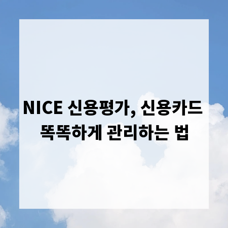 NICE 신용평가, 신용카드 똑똑하게 관리하는 법