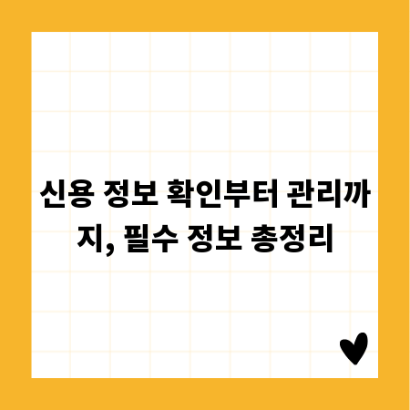 신용 정보 확인부터 관리까지, 필수 정보 총정리