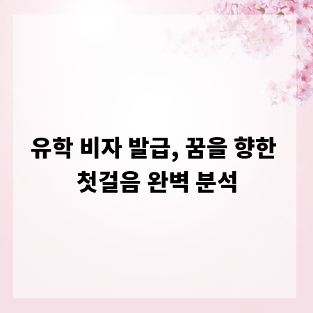 유학 비자 발급, 꿈을 향한 첫걸음 완벽 분석