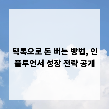 틱톡으로 돈 버는 방법, 인플루언서 성장 전략 공개